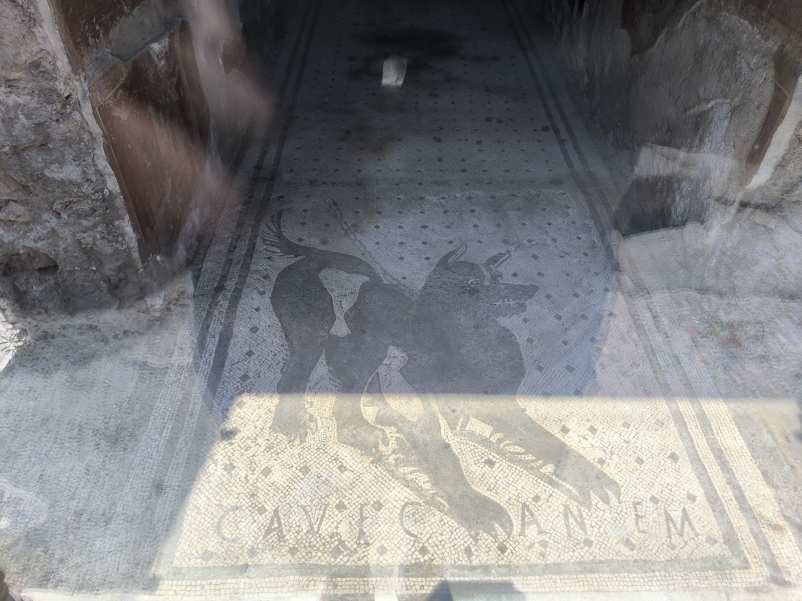 Cave Canem - le plus vieil avertissement "attention au chien" du monde Cave Canem le plus vieil avertissement attention au chien du monde 2 Cave-Canem-le-plus-vieil-avertissement-attention-au-chien-du-monde-2