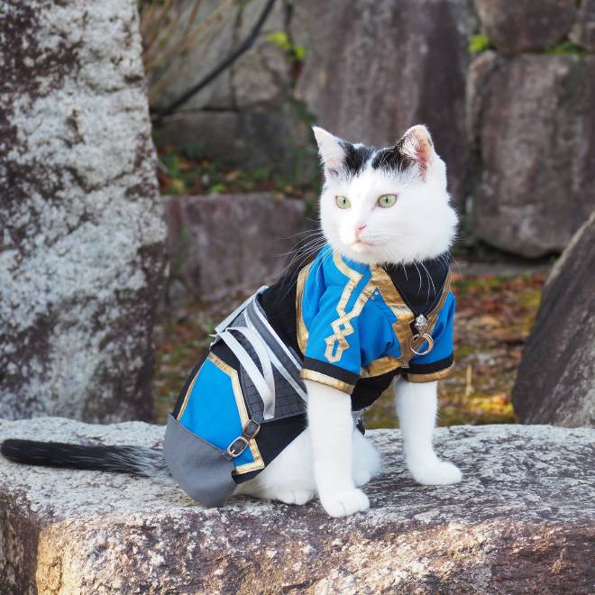 Des costumes d'anime pour chat par YagyouNEKO Des costumes d anime pour chat par YagyouNEKO 12 Des-costumes-d-anime-pour-chat-par-YagyouNEKO-12