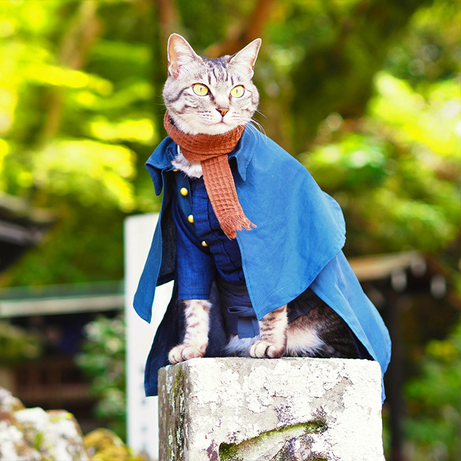 Des costumes d'anime pour chat par YagyouNEKO Des costumes d anime pour chat par YagyouNEKO 16 Des-costumes-d-anime-pour-chat-par-YagyouNEKO-16