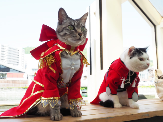 Des costumes d'anime pour chat par YagyouNEKO Des costumes d anime pour chat par YagyouNEKO 20 Des-costumes-d-anime-pour-chat-par-YagyouNEKO-20