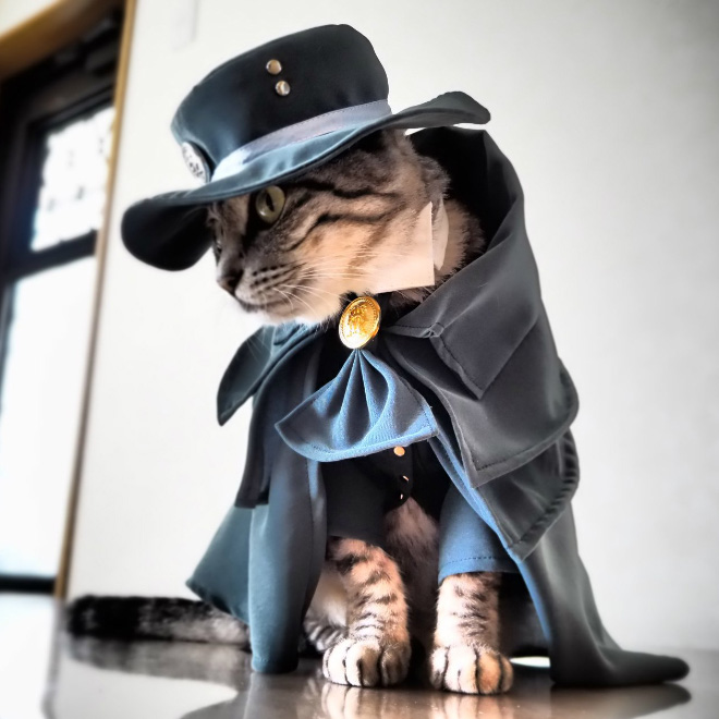 Des costumes d'anime pour chat par YagyouNEKO Des costumes d anime pour chat par YagyouNEKO 6 Des-costumes-d-anime-pour-chat-par-YagyouNEKO-6