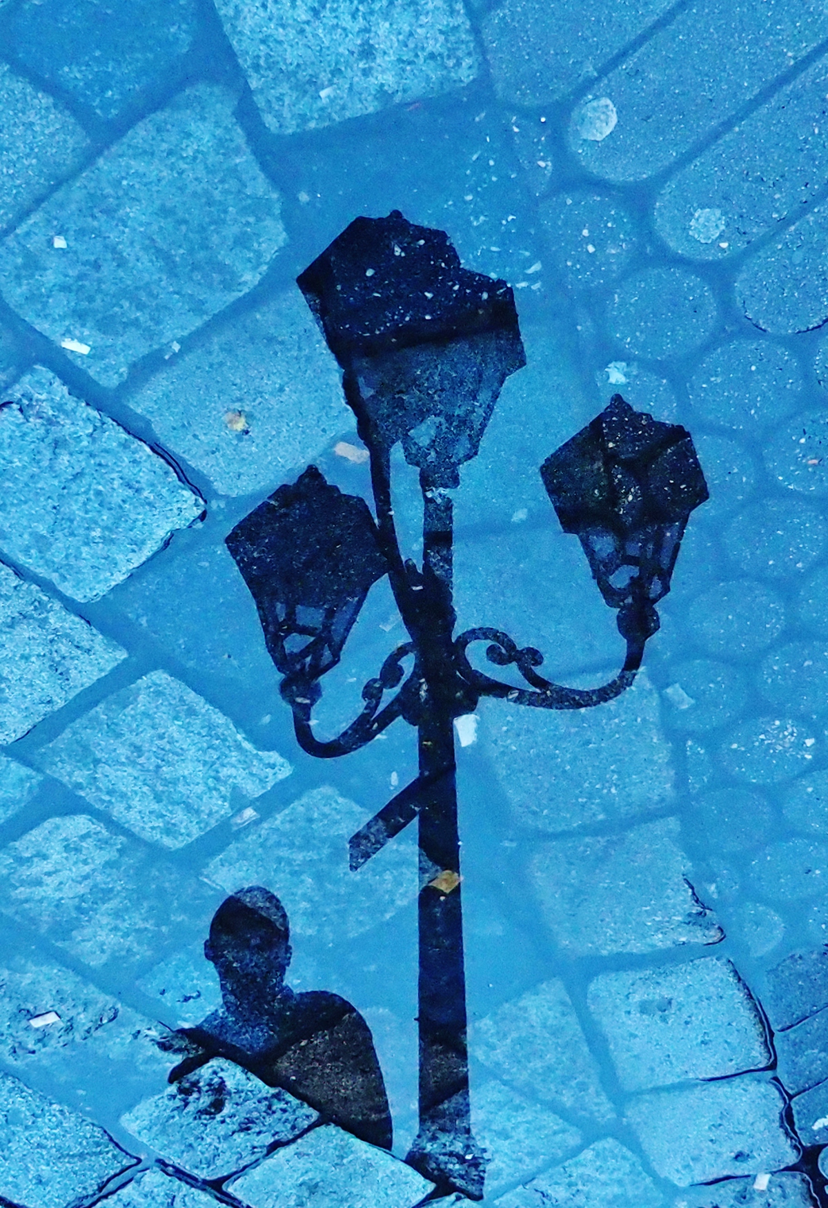 Parallel Worlds - le monde dans des reflets de flaque par Skander Khlif Parallel Worlds le monde dans des reflets de flaque par Skander Khlif 3 Parallel-Worlds-le-monde-dans-des-reflets-de-flaque-par-Skander-Khlif