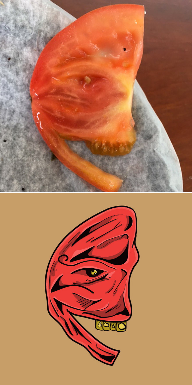 Paréidolie : un artiste crée des personnages à partir d'objets Pareidolie un artiste cree des personnages a partir d objets 20 Pareidolie-un-artiste-cree-des-personnages-a-partir-d-objets-20