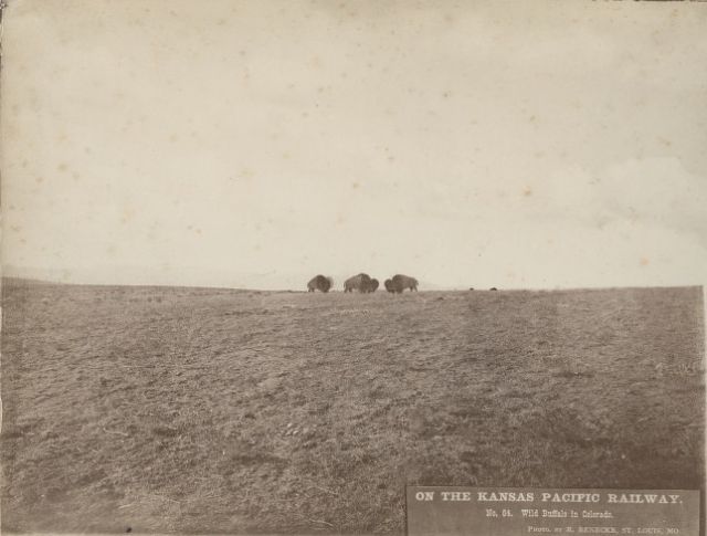 62 photos de Robert Benecke le long du chemin de fer Kansas Pacific en 1873 64 photos de Robert Benecke le long du chemin de fer Kansas Pacific en 1873 64 64-photos-de-Robert-Benecke-le-long-du-chemin-de-fer-Kansas-Pacific-en-1873-64