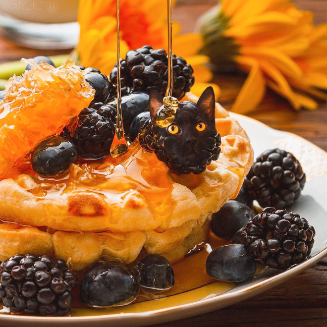 Cats into food - des chats en nourriture par Kseniia Zmanovskaia Cats into food des chats en nourriture par Kseniia Zmanovskaia 10 Cats-into-food-des-chats-en-nourriture-par-Kseniia-Zmanovskaia-10