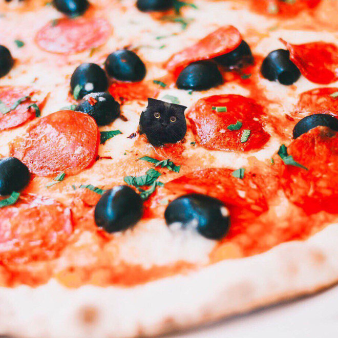 Cats into food - des chats en nourriture par Kseniia Zmanovskaia Cats into food des chats en nourriture par Kseniia Zmanovskaia 5 Cats-into-food-des-chats-en-nourriture-par-Kseniia-Zmanovskaia-5