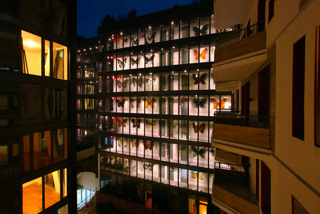 Les fresques de papillons en boites entomologiques de Mantra Les fresques de papillons en boites entomologiques de Mantra 8 Les-fresques-de-papillons-en-boites-entomologiques-de-Mantra-8