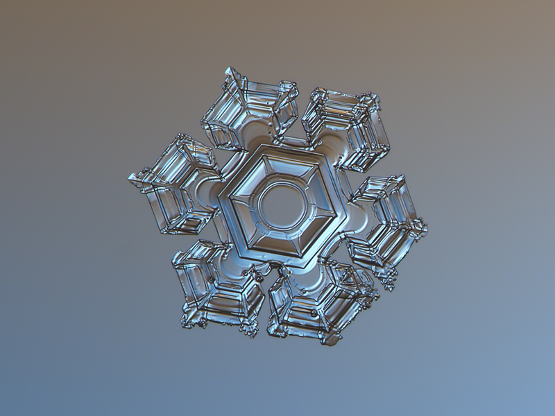 Les incroyables photos de flocons de neige en macrophotographie de Alexey Kljatov Les incroyables photos de flocons de neige en macrophotographie de Alexey Kljatov 1 Les-incroyables-photos-de-flocons-de-neige-en-macrophotographie-de-Alexey-Kljatov-1