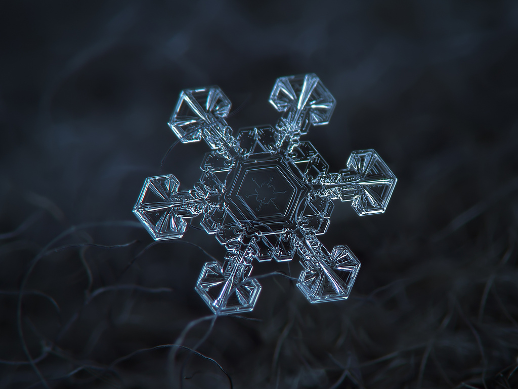 Les incroyables photos de flocons de neige en macrophotographie de Alexey Kljatov Les incroyables photos de flocons de neige en macrophotographie de Alexey Kljatov 10 Les-incroyables-photos-de-flocons-de-neige-en-macrophotographie-de-Alexey-Kljatov-10