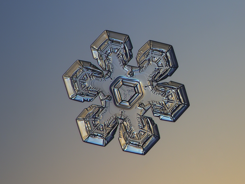 Les incroyables photos de flocons de neige en macrophotographie de Alexey Kljatov Les incroyables photos de flocons de neige en macrophotographie de Alexey Kljatov 2 Les-incroyables-photos-de-flocons-de-neige-en-macrophotographie-de-Alexey-Kljatov-2