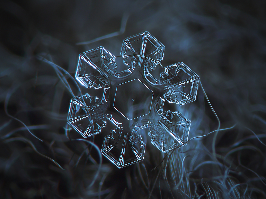 Les incroyables photos de flocons de neige en macrophotographie de Alexey Kljatov Les incroyables photos de flocons de neige en macrophotographie de Alexey Kljatov 9 Les-incroyables-photos-de-flocons-de-neige-en-macrophotographie-de-Alexey-Kljatov-9