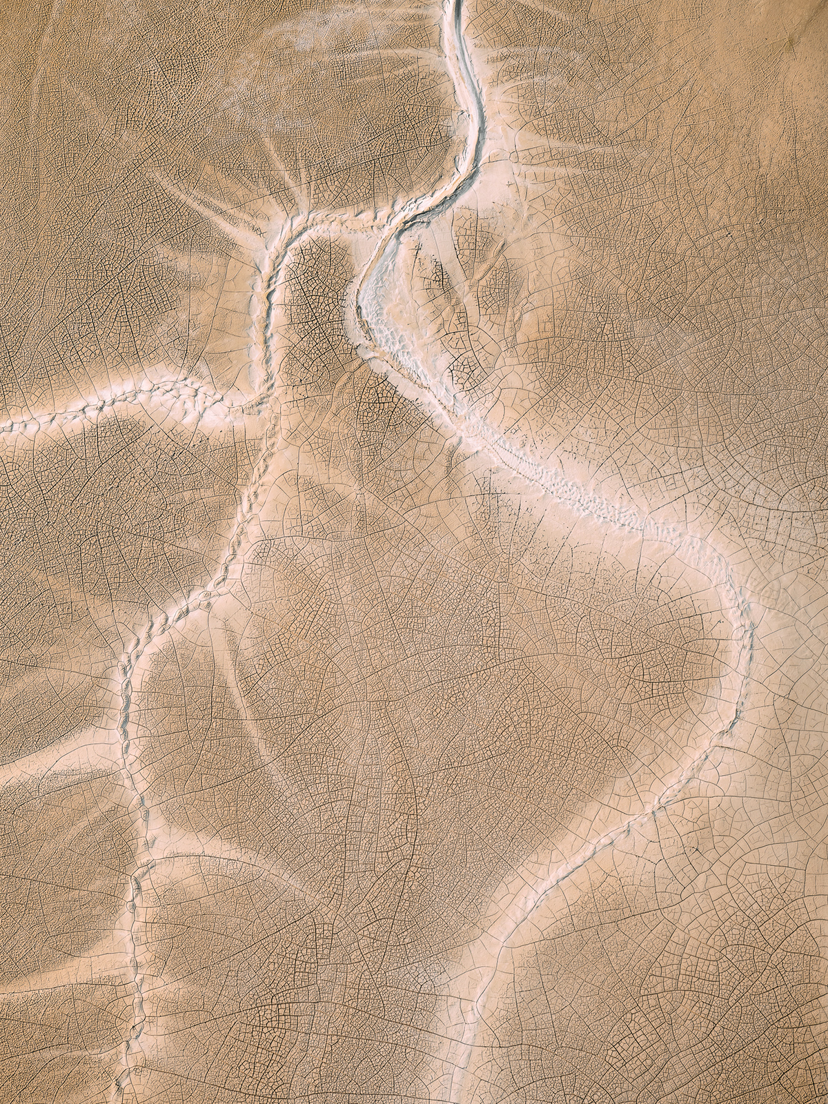 The Ash Ponds - la pollution des étangs par la cendre des centrales à charbon The Ash Ponds la pollution des etangs par la cendre des centrales a charbon 11 The-Ash-Ponds-la-pollution-des-etangs-par-la-cendre-des-centrales-a-charbon-11