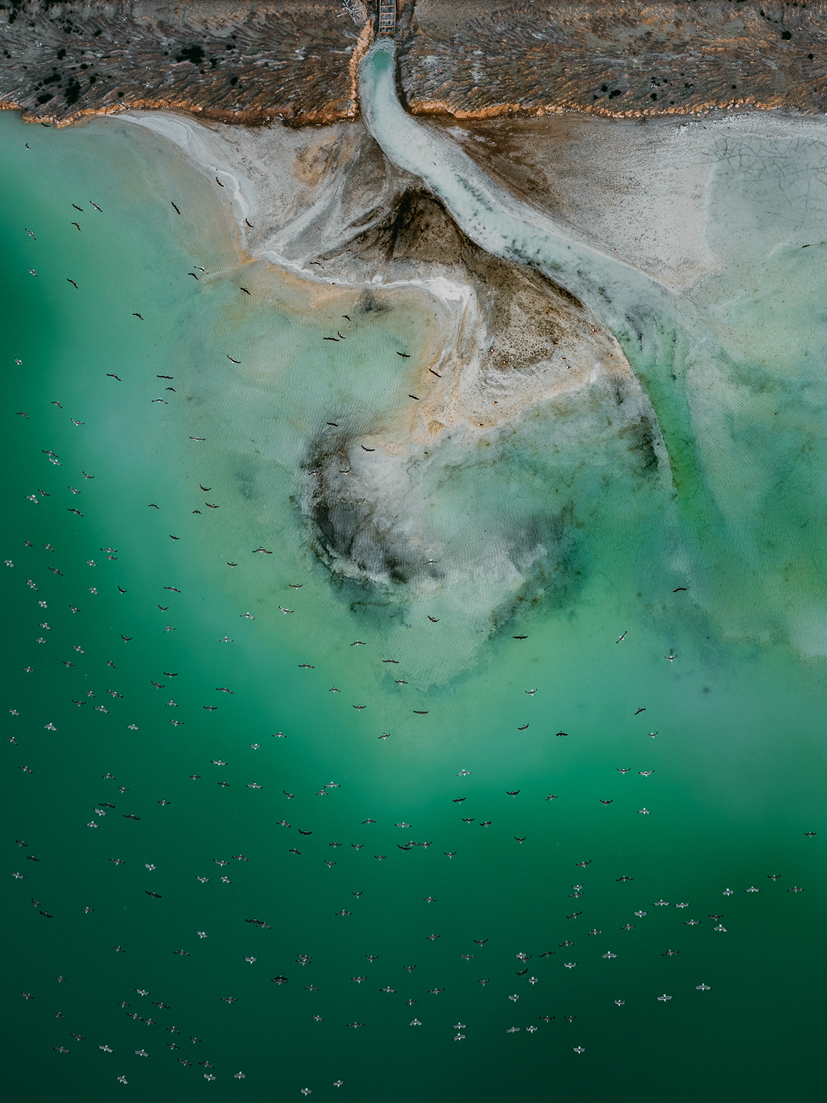 The Ash Ponds - la pollution des étangs par la cendre des centrales à charbon The Ash Ponds la pollution des etangs par la cendre des centrales a charbon 6 The-Ash-Ponds-la-pollution-des-etangs-par-la-cendre-des-centrales-a-charbon-6