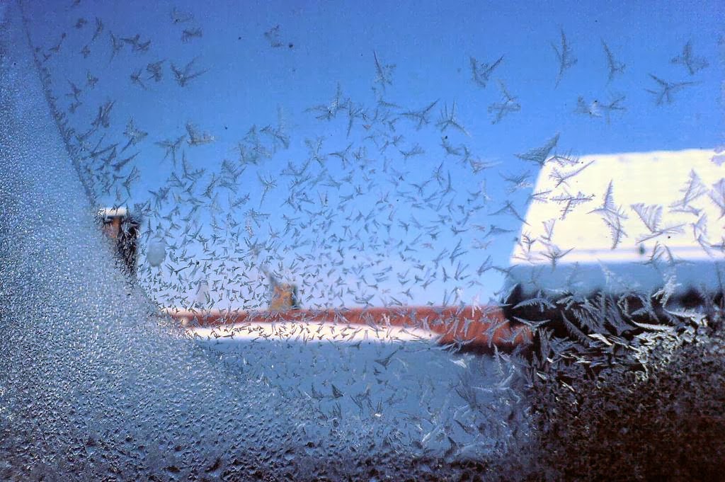 31 exemples de magnifiques fleurs de givre ou quand la glace fait de l'art sur les vitres Les magnifiques fleurs de givre ou quand la glace fait de l art sur les vitres 16 Les-magnifiques-fleurs-de-givre-ou-quand-la-glace-fait-de-l-art-sur-les-vitres-16