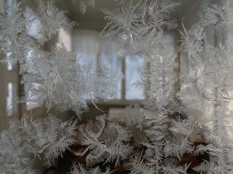 31 exemples de magnifiques fleurs de givre ou quand la glace fait de l'art sur les vitres Les magnifiques fleurs de givre ou quand la glace fait de l art sur les vitres 18 Les-magnifiques-fleurs-de-givre-ou-quand-la-glace-fait-de-l-art-sur-les-vitres-18