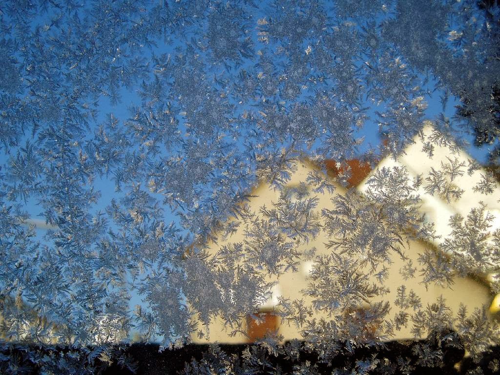 31 exemples de magnifiques fleurs de givre ou quand la glace fait de l'art sur les vitres Les magnifiques fleurs de givre ou quand la glace fait de l art sur les vitres 23 Les-magnifiques-fleurs-de-givre-ou-quand-la-glace-fait-de-l-art-sur-les-vitres-23