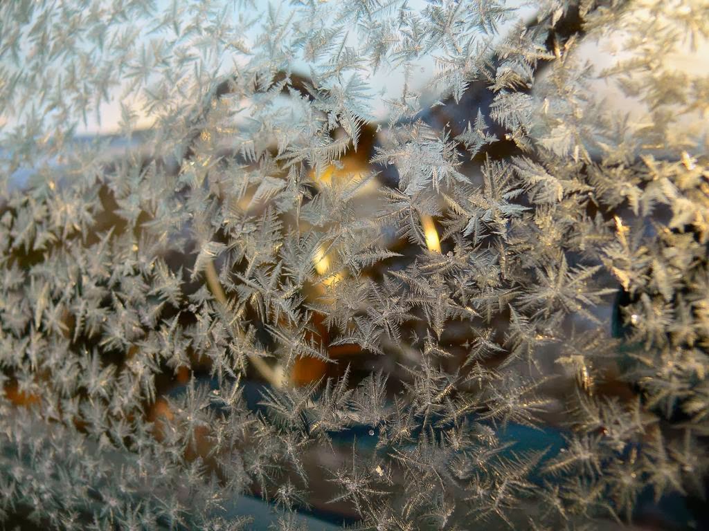 31 exemples de magnifiques fleurs de givre ou quand la glace fait de l'art sur les vitres Les magnifiques fleurs de givre ou quand la glace fait de l art sur les vitres 30 Les-magnifiques-fleurs-de-givre-ou-quand-la-glace-fait-de-l-art-sur-les-vitres-30
