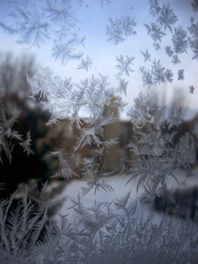 31 exemples de magnifiques fleurs de givre ou quand la glace fait de l'art sur les vitres Les magnifiques fleurs de givre ou quand la glace fait de l art sur les vitres 4 Les-magnifiques-fleurs-de-givre-ou-quand-la-glace-fait-de-l-art-sur-les-vitres-4