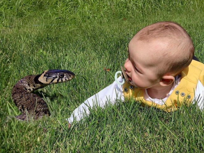 Quand un papa photoshop bébé dans des situations dangereuses Quand un papa photoshop bebe dans des situations dangereuses 20 Quand-un-papa-photoshop-bebe-dans-des-situations-dangereuses-20