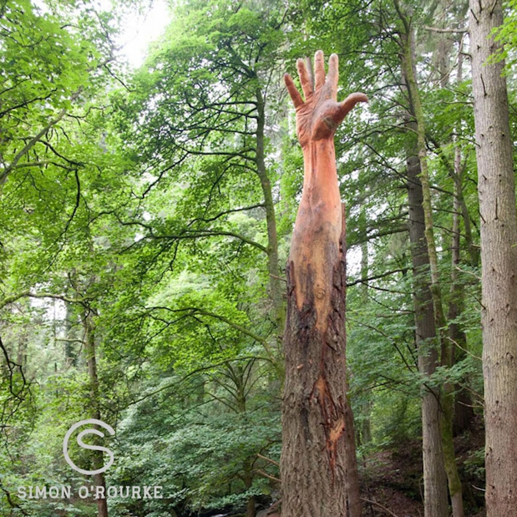 Une main sculptée à la tronçonneuse dans un arbre cassé Une main sculptee a la tronconneuse dans un arbre casse 2 Une-main-sculptee-a-la-tronconneuse-dans-un-arbre-casse-2