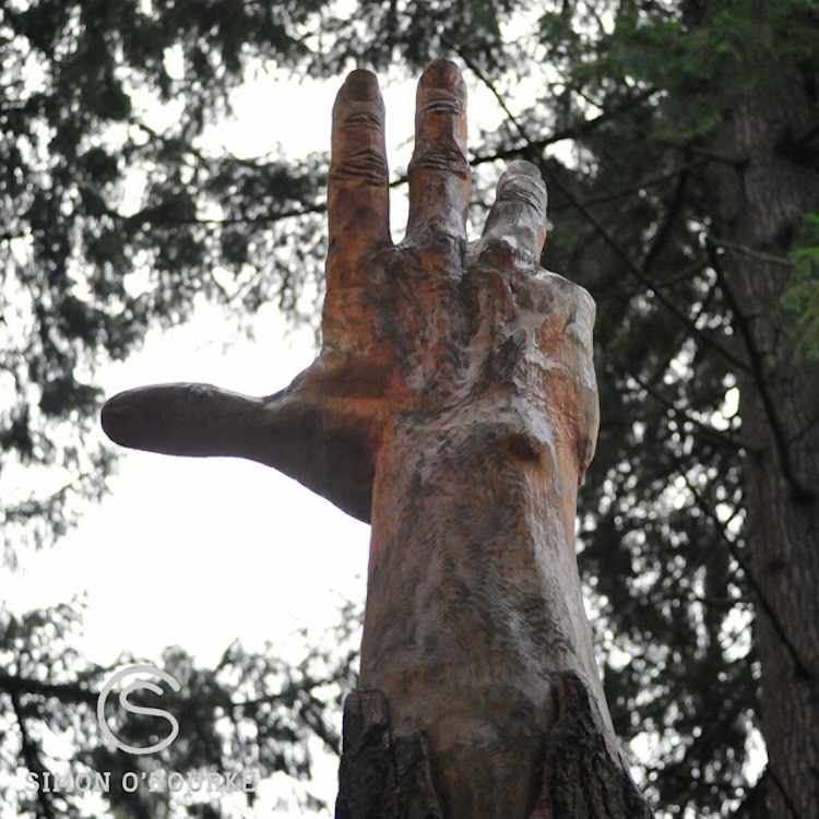 Une main sculptée à la tronçonneuse dans un arbre cassé Une main sculptee a la tronconneuse dans un arbre casse 3 Une-main-sculptee-a-la-tronconneuse-dans-un-arbre-casse-3