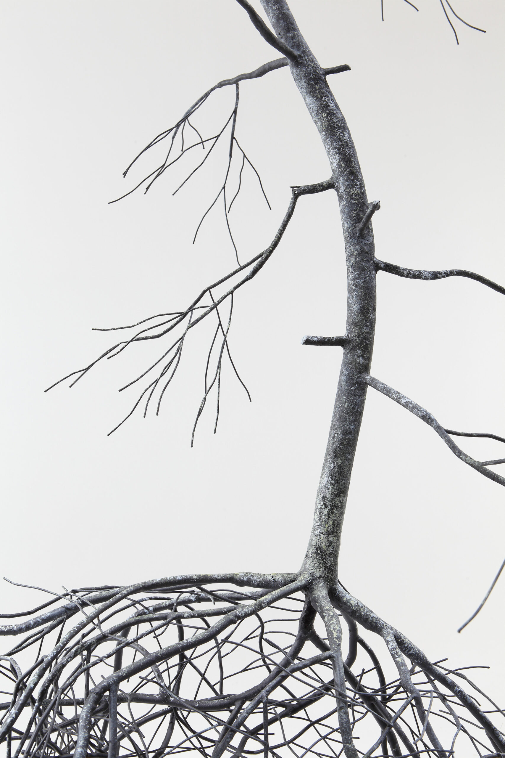 des sculptures de racines et de branches en acier par Sun-Hyuk Kim des sculptures de racines et de branches en acier parSun Hyuk Kim 2 des-sculptures-de-racines-et-de-branches-en-acier-parSun-Hyuk-Kim-2