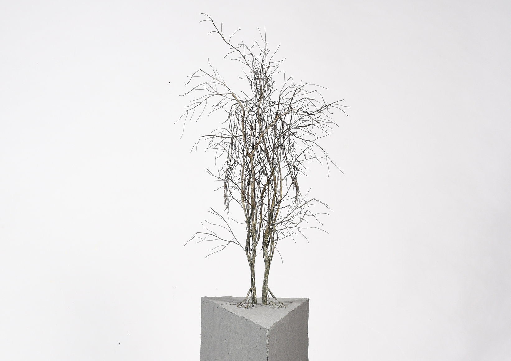 des sculptures de racines et de branches en acier par Sun-Hyuk Kim des sculptures de racines et de branches en acier parSun Hyuk Kim 3 des-sculptures-de-racines-et-de-branches-en-acier-parSun-Hyuk-Kim-3