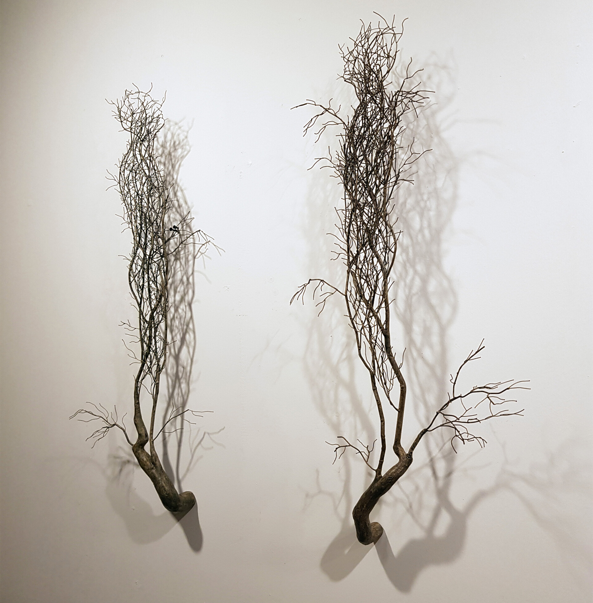 des sculptures de racines et de branches en acier par Sun-Hyuk Kim des sculptures de racines et de branches en acier parSun Hyuk Kim 6 des-sculptures-de-racines-et-de-branches-en-acier-parSun-Hyuk-Kim-6