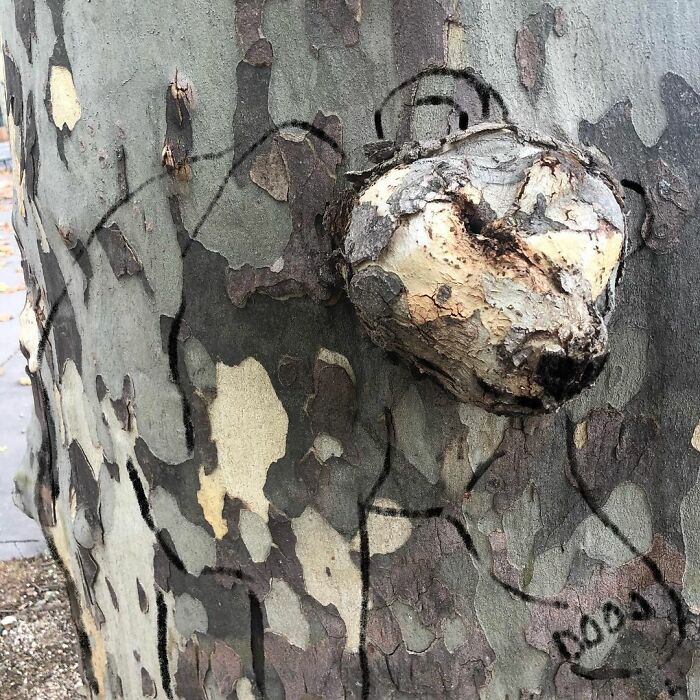 du street art par Cal du street art par Cal 10 du-street-art-par-Cal-10