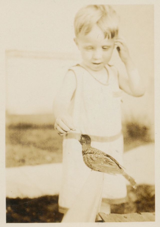 26 délicieux clichés vintage de l'amitié entre des enfants et des animaux 26 delicieux cliches vintage de l amitie entre des enfants et des animaux 11 oiseau 26-delicieux-cliches-vintage-de-l-amitie-entre-des-enfants-et-des-animaux-11-oiseau