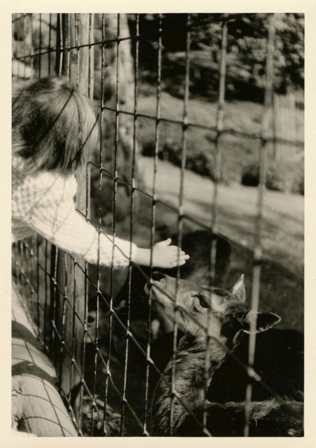 26 délicieux clichés vintage de l'amitié entre des enfants et des animaux 26 delicieux cliches vintage de l amitie entre des enfants et des animaux 14 biche 26-delicieux-cliches-vintage-de-l-amitie-entre-des-enfants-et-des-animaux-14-biche