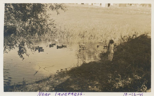 26 délicieux clichés vintage de l'amitié entre des enfants et des animaux 26 delicieux cliches vintage de l amitie entre des enfants et des animaux 2 canard 26-delicieux-cliches-vintage-de-l-amitie-entre-des-enfants-et-des-animaux-2-canard