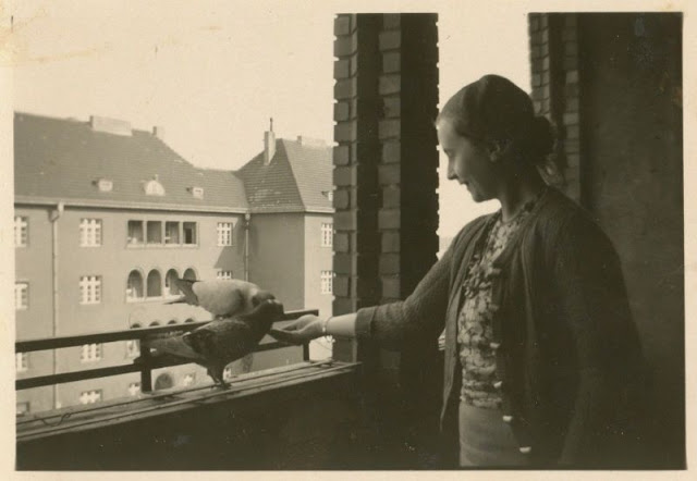 26 délicieux clichés vintage de l'amitié entre des enfants et des animaux 26 delicieux cliches vintage de l amitie entre des enfants et des animaux 20 pigeon 26-delicieux-cliches-vintage-de-l-amitie-entre-des-enfants-et-des-animaux-20-pigeon