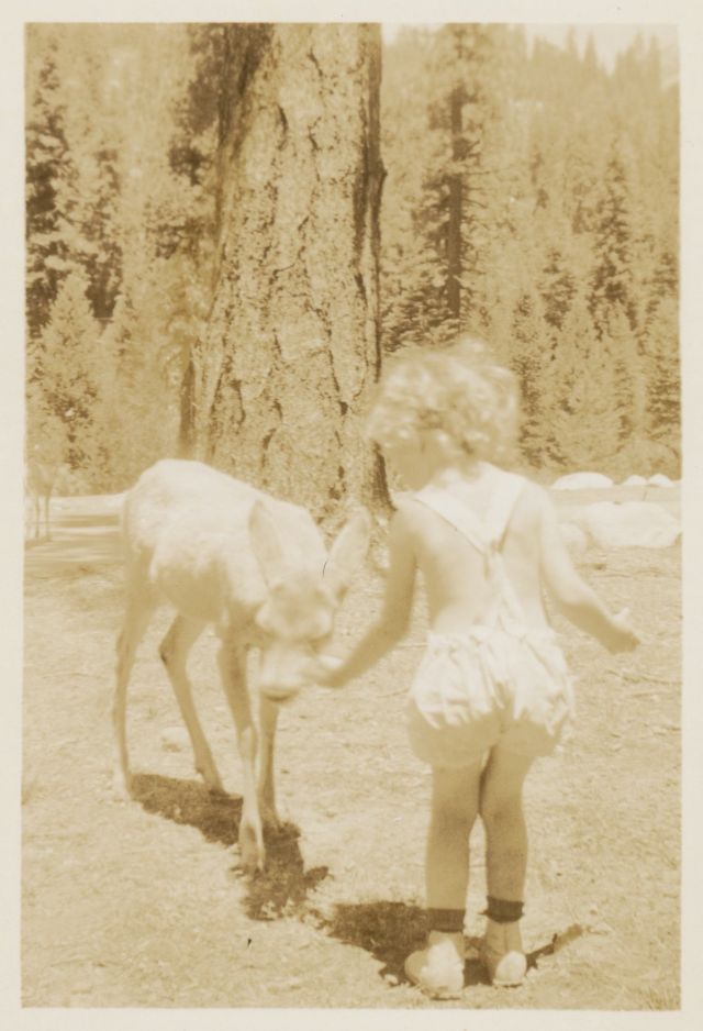 26 délicieux clichés vintage de l'amitié entre des enfants et des animaux 26 delicieux cliches vintage de l amitie entre des enfants et des animaux 22 biche 26-delicieux-cliches-vintage-de-l-amitie-entre-des-enfants-et-des-animaux-22-biche