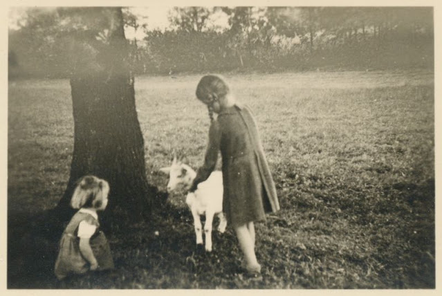26 délicieux clichés vintage de l'amitié entre des enfants et des animaux 26 delicieux cliches vintage de l amitie entre des enfants et des animaux 24 26-delicieux-cliches-vintage-de-l-amitie-entre-des-enfants-et-des-animaux-24