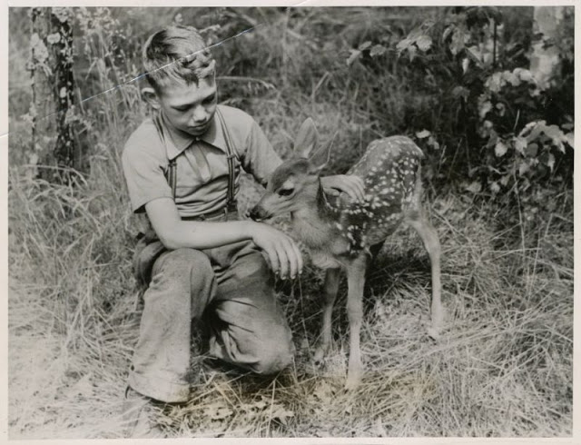 26 délicieux clichés vintage de l'amitié entre des enfants et des animaux 26 delicieux cliches vintage de l amitie entre des enfants et des animaux 25 faon 26-delicieux-cliches-vintage-de-l-amitie-entre-des-enfants-et-des-animaux-25-faon