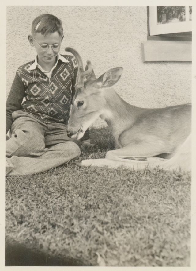26 délicieux clichés vintage de l'amitié entre des enfants et des animaux 26 delicieux cliches vintage de l amitie entre des enfants et des animaux 3 garcon cerf 26-delicieux-cliches-vintage-de-l-amitie-entre-des-enfants-et-des-animaux-3-garcon-cerf