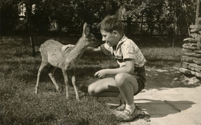 26 délicieux clichés vintage de l'amitié entre des enfants et des animaux 26 delicieux cliches vintage de l amitie entre des enfants et des animaux 5 garcon faon 26-delicieux-cliches-vintage-de-l-amitie-entre-des-enfants-et-des-animaux-5-garcon-faon