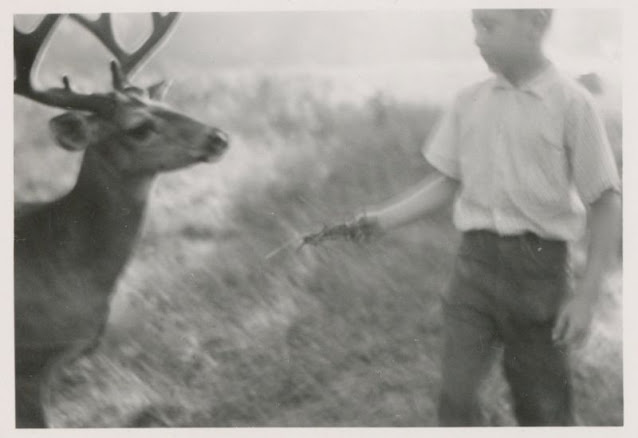 26 délicieux clichés vintage de l'amitié entre des enfants et des animaux 26 delicieux cliches vintage de l amitie entre des enfants et des animaux 7 garcon cerf 26-delicieux-cliches-vintage-de-l-amitie-entre-des-enfants-et-des-animaux-7-garcon-cerf