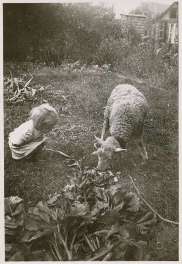 26 délicieux clichés vintage de l'amitié entre des enfants et des animaux 26 delicieux cliches vintage de l amitie entre des enfants et des animaux 9 mouton 26-delicieux-cliches-vintage-de-l-amitie-entre-des-enfants-et-des-animaux-9-mouton