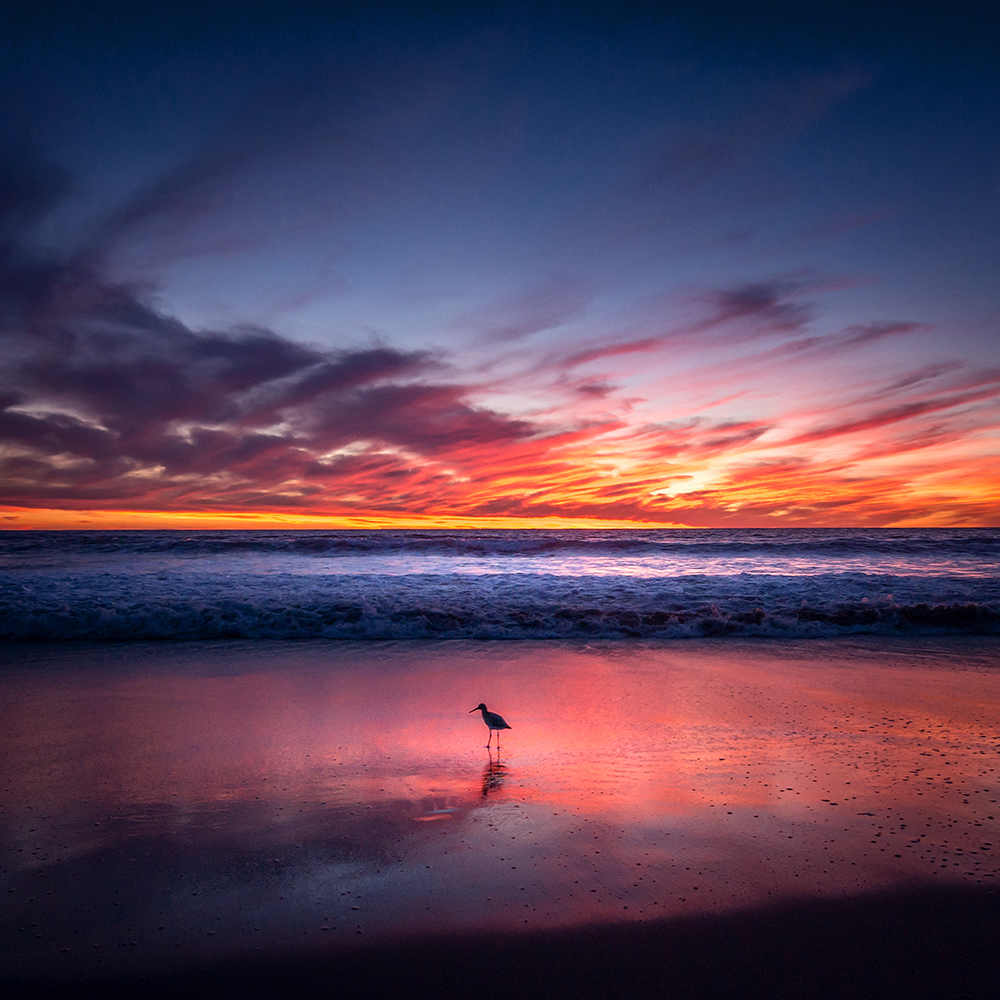 Californication - des photos de Californie par Pygmalion Karatzas Californication des photos de Californie par Pygmalion Karatzas 2 Californication-des-photos-de-Californie-par-Pygmalion-Karatzas-2