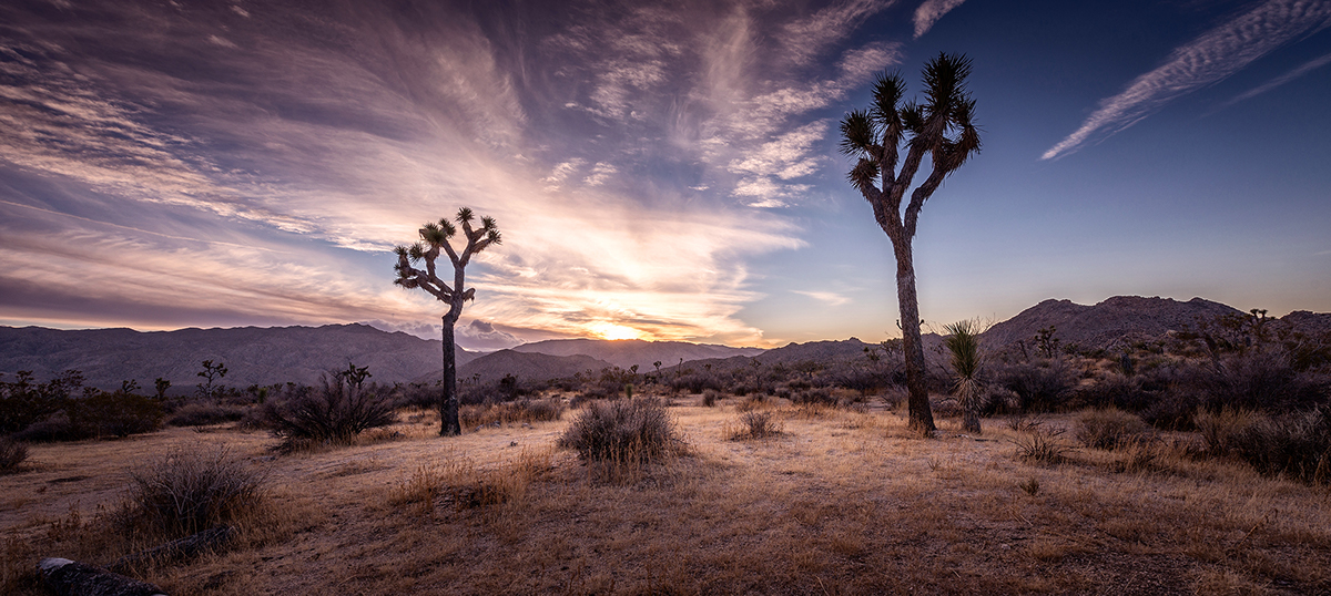 Californication - des photos de Californie par Pygmalion Karatzas Californication des photos de Californie par Pygmalion Karatzas 7 Californication-des-photos-de-Californie-par-Pygmalion-Karatzas-7