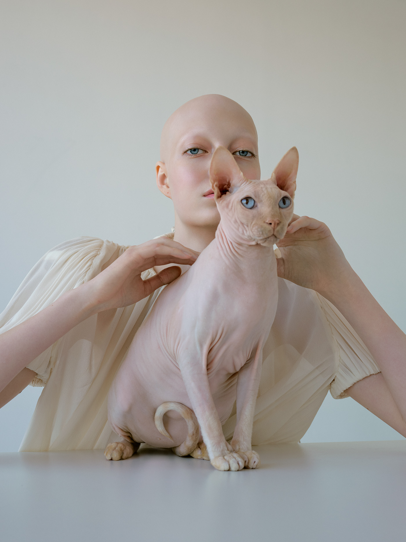 Cat Grace - la grâce du chat sphynx et de Yana Dobroliubova par Kristina Varaksina Cat Grace la grace du chat sphynx et de Yana Dobroliubova par Kristina Varaksina 2 Cat-Grace-la-grace-du-chat-sphynx-et-de-Yana-Dobroliubova-par-Kristina-Varaksina-2