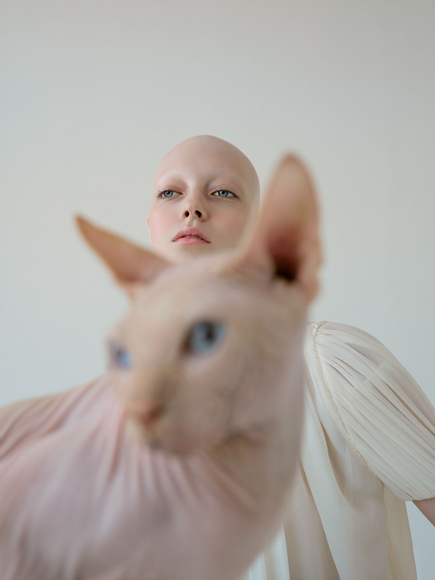 Cat Grace - la grâce du chat sphynx et de Yana Dobroliubova par Kristina Varaksina Cat Grace la grace du chat sphynx et de Yana Dobroliubova par Kristina Varaksina 3 Cat-Grace-la-grace-du-chat-sphynx-et-de-Yana-Dobroliubova-par-Kristina-Varaksina-3