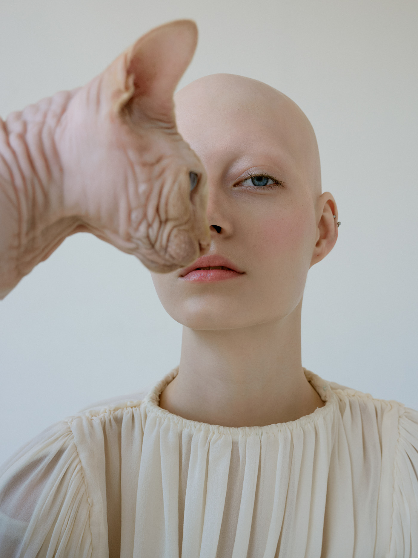 Cat Grace - la grâce du chat sphynx et de Yana Dobroliubova par Kristina Varaksina Cat Grace la grace du chat sphynx et de Yana Dobroliubova par Kristina Varaksina 4 Cat-Grace-la-grace-du-chat-sphynx-et-de-Yana-Dobroliubova-par-Kristina-Varaksina-4