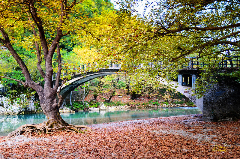La rivière Voidomatis, paradis paradoxal pour les baigneurs qui aiment l'eau froide La riviere Voidomatis paradis paradoxal pour les baigneurs qui aiment l eau froide 1 La-riviere-Voidomatis-paradis-paradoxal-pour-les-baigneurs-qui-aiment-l-eau-froide-1