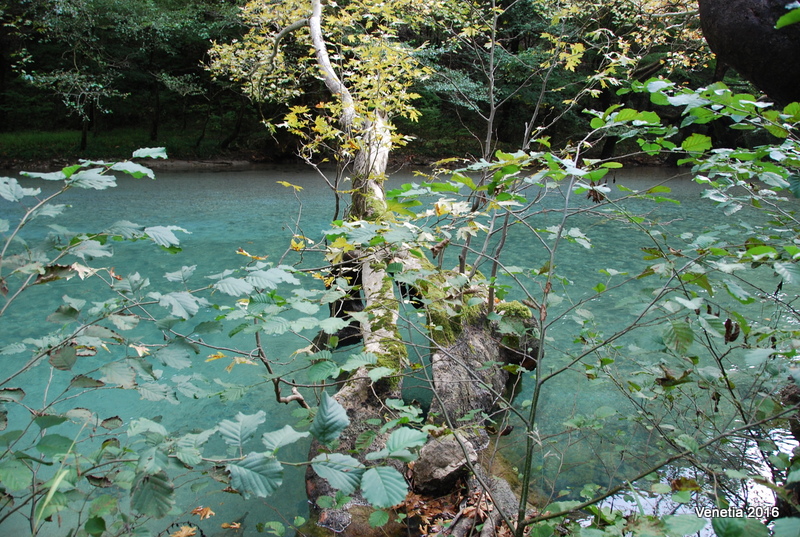 La rivière Voidomatis, paradis paradoxal pour les baigneurs qui aiment l'eau froide La riviere Voidomatis paradis paradoxal pour les baigneurs qui aiment l eau froide 10 La-riviere-Voidomatis-paradis-paradoxal-pour-les-baigneurs-qui-aiment-l-eau-froide-10