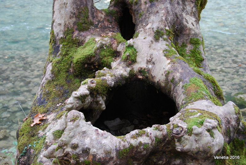 La rivière Voidomatis, paradis paradoxal pour les baigneurs qui aiment l'eau froide La riviere Voidomatis paradis paradoxal pour les baigneurs qui aiment l eau froide 11 La-riviere-Voidomatis-paradis-paradoxal-pour-les-baigneurs-qui-aiment-l-eau-froide-11