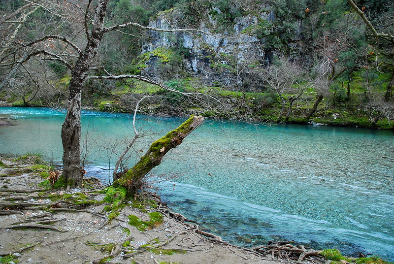 La rivière Voidomatis, paradis paradoxal pour les baigneurs qui aiment l'eau froide La riviere Voidomatis paradis paradoxal pour les baigneurs qui aiment l eau froide 4 La-riviere-Voidomatis-paradis-paradoxal-pour-les-baigneurs-qui-aiment-l-eau-froide-4