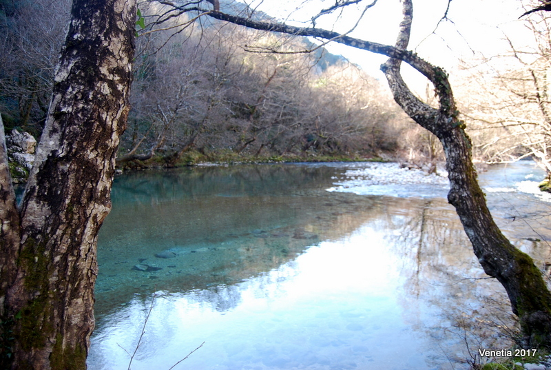 La rivière Voidomatis, paradis paradoxal pour les baigneurs qui aiment l'eau froide La riviere Voidomatis paradis paradoxal pour les baigneurs qui aiment l eau froide 6 La-riviere-Voidomatis-paradis-paradoxal-pour-les-baigneurs-qui-aiment-l-eau-froide-6
